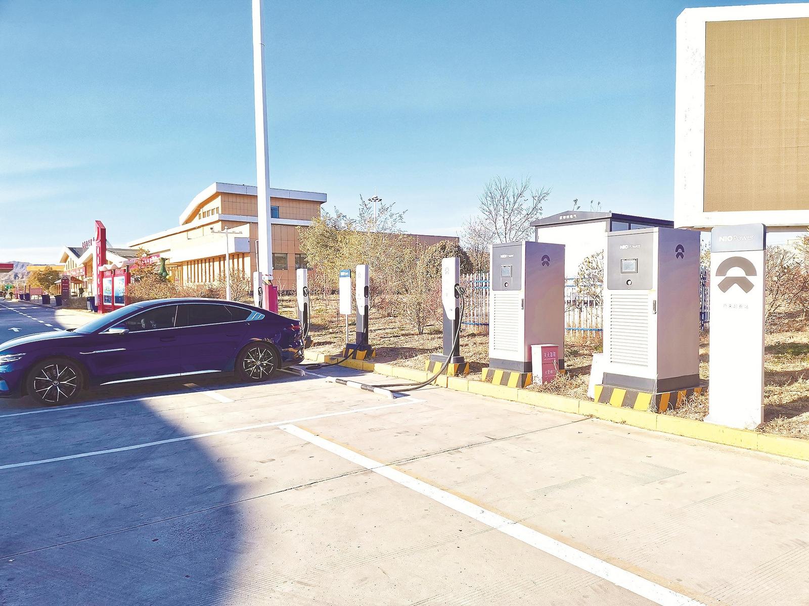 女人与公狍交酡女免费