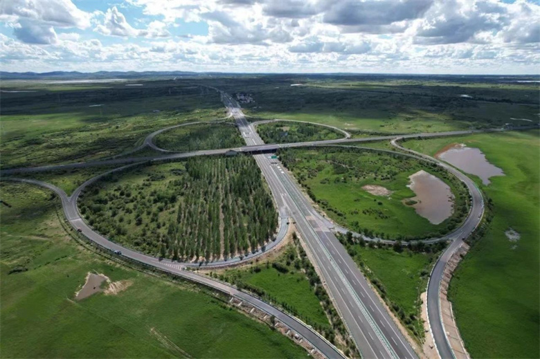 女人与公狍交酡女免费