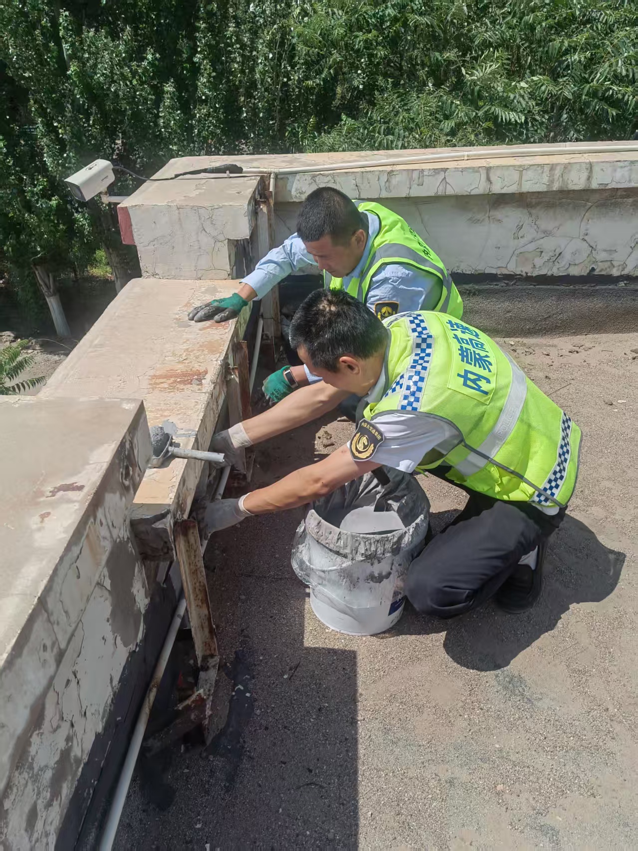 女人与公狍交酡女免费