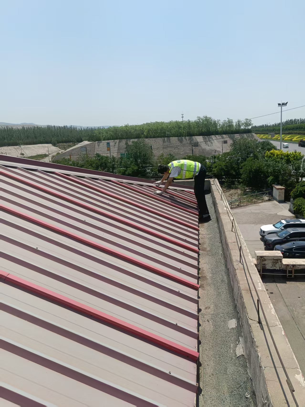 女人与公狍交酡女免费