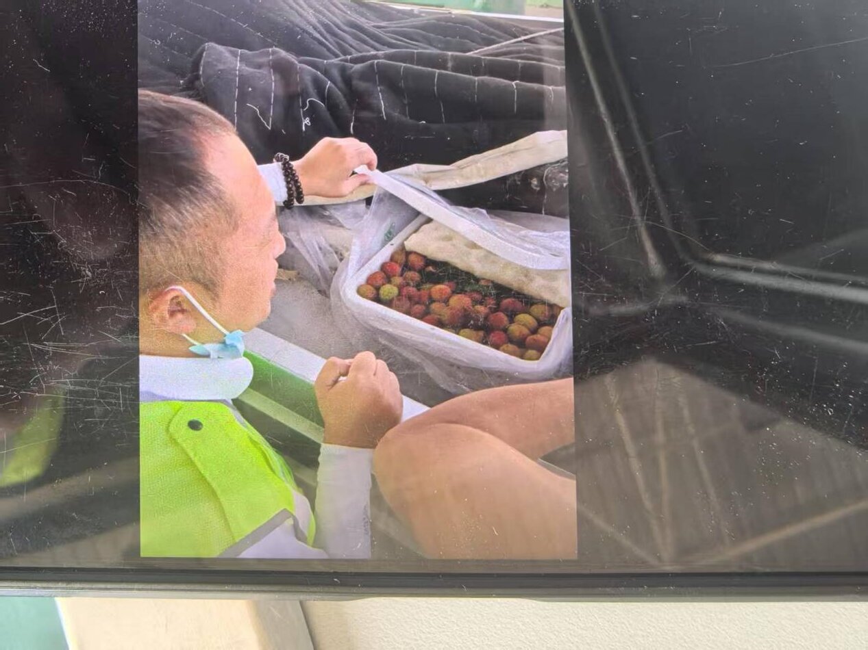 女人与公狍交酡女免费