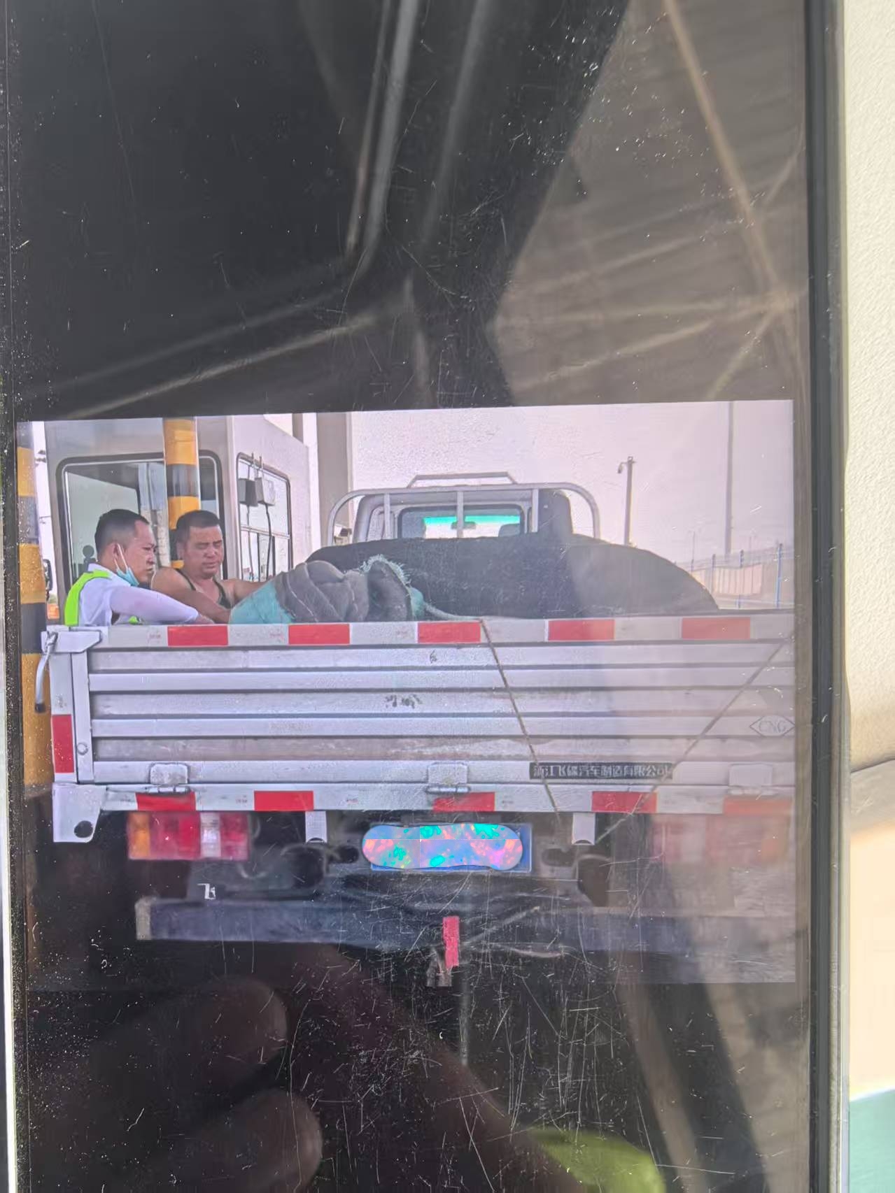 女人与公狍交酡女免费