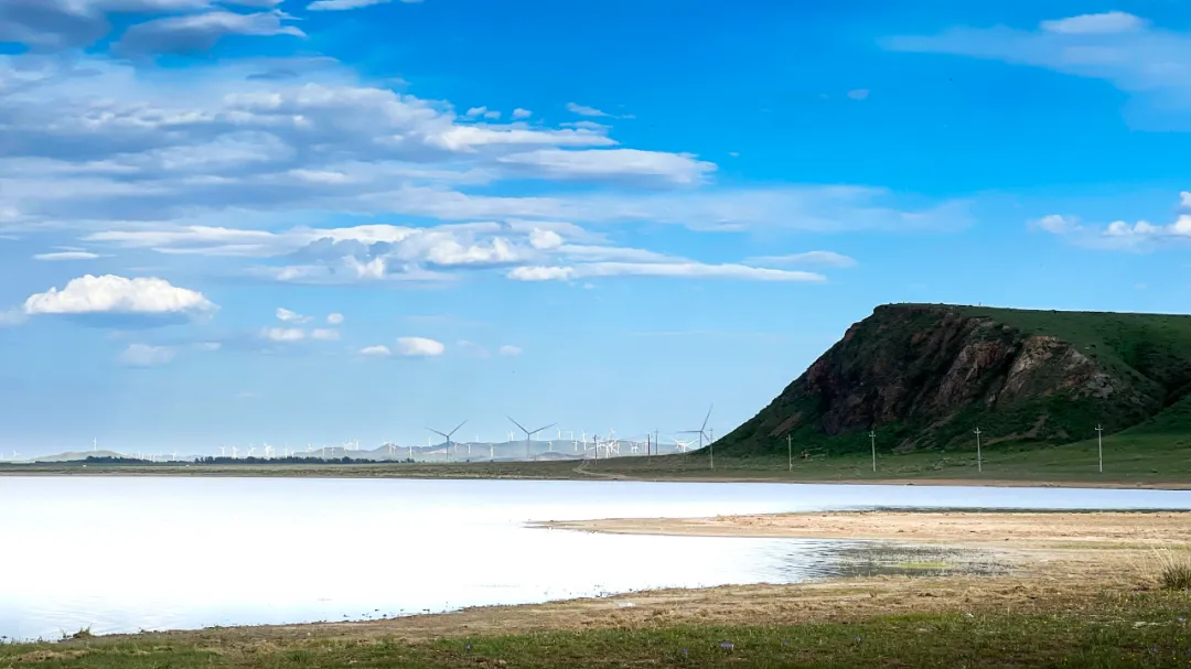 女人与公狍交酡女免费