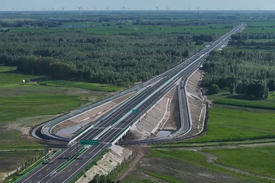 女人与公狍交酡女免费