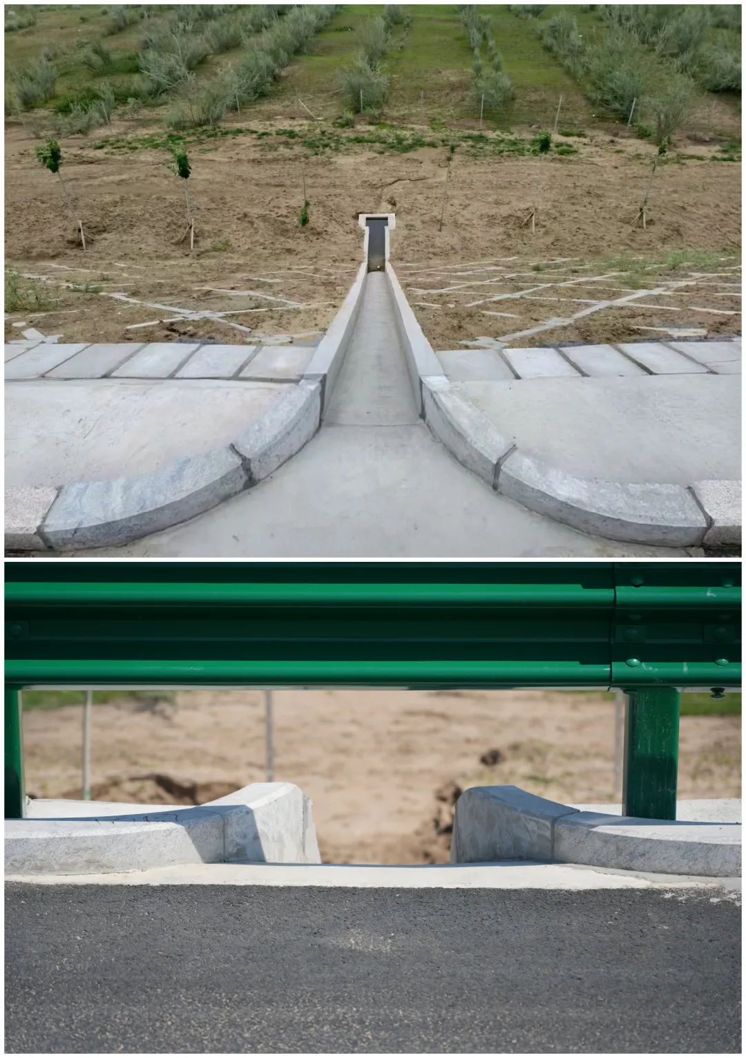 女人与公狍交酡女免费