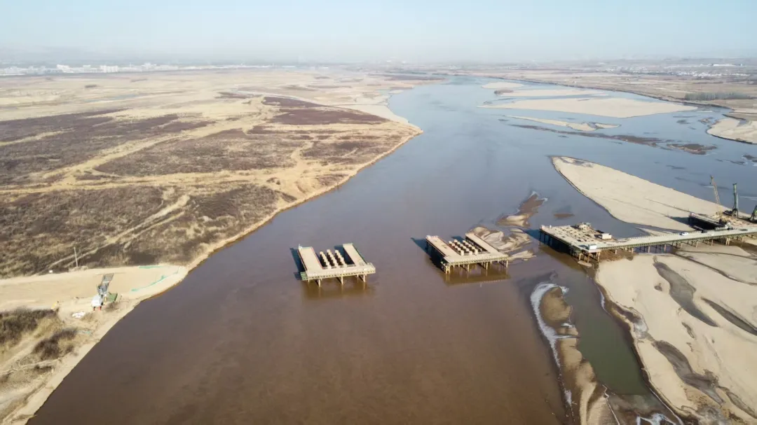 女人与公狍交酡女免费