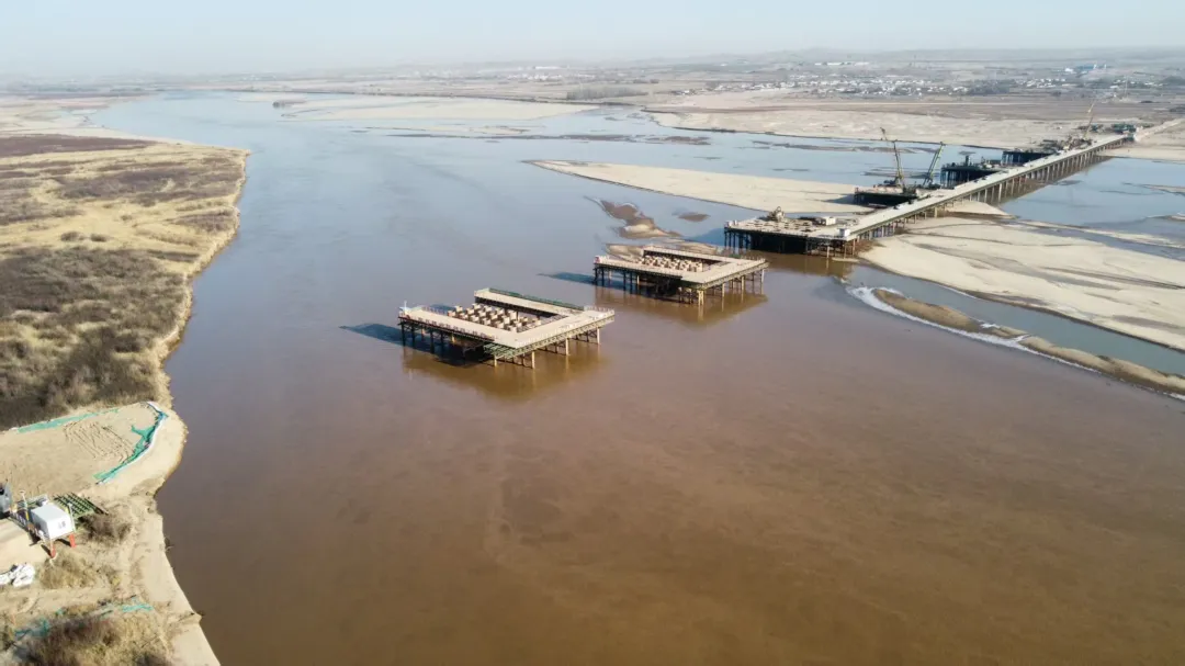 女人与公狍交酡女免费