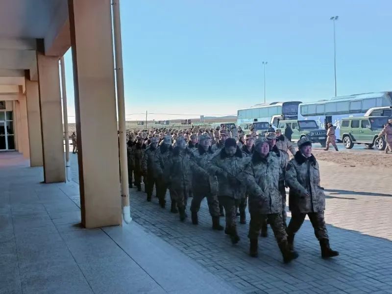 女人与公狍交酡女免费