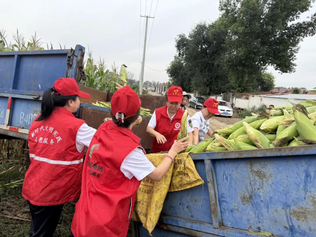 女人与公狍交酡女免费