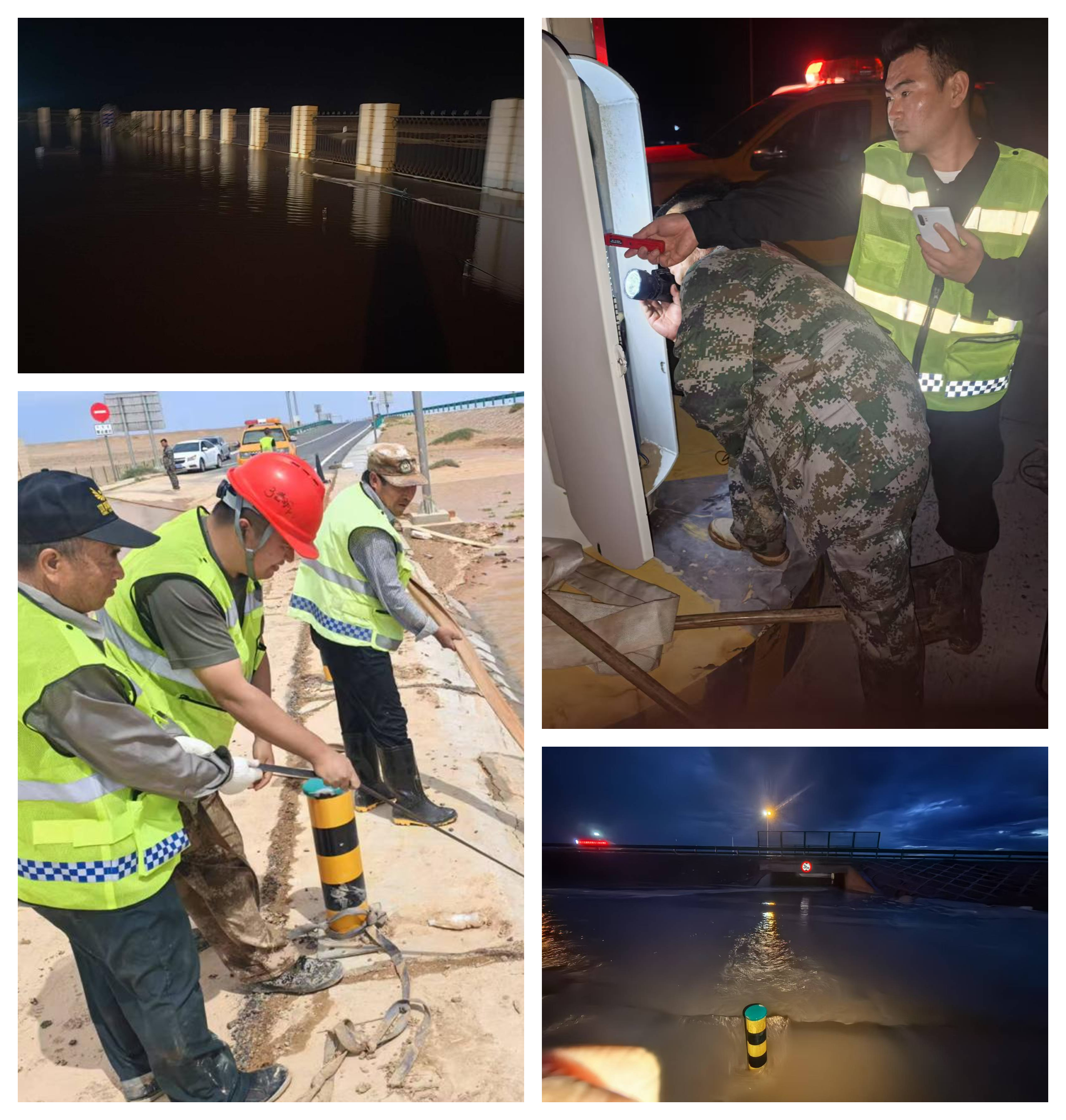 女人与公狍交酡女免费