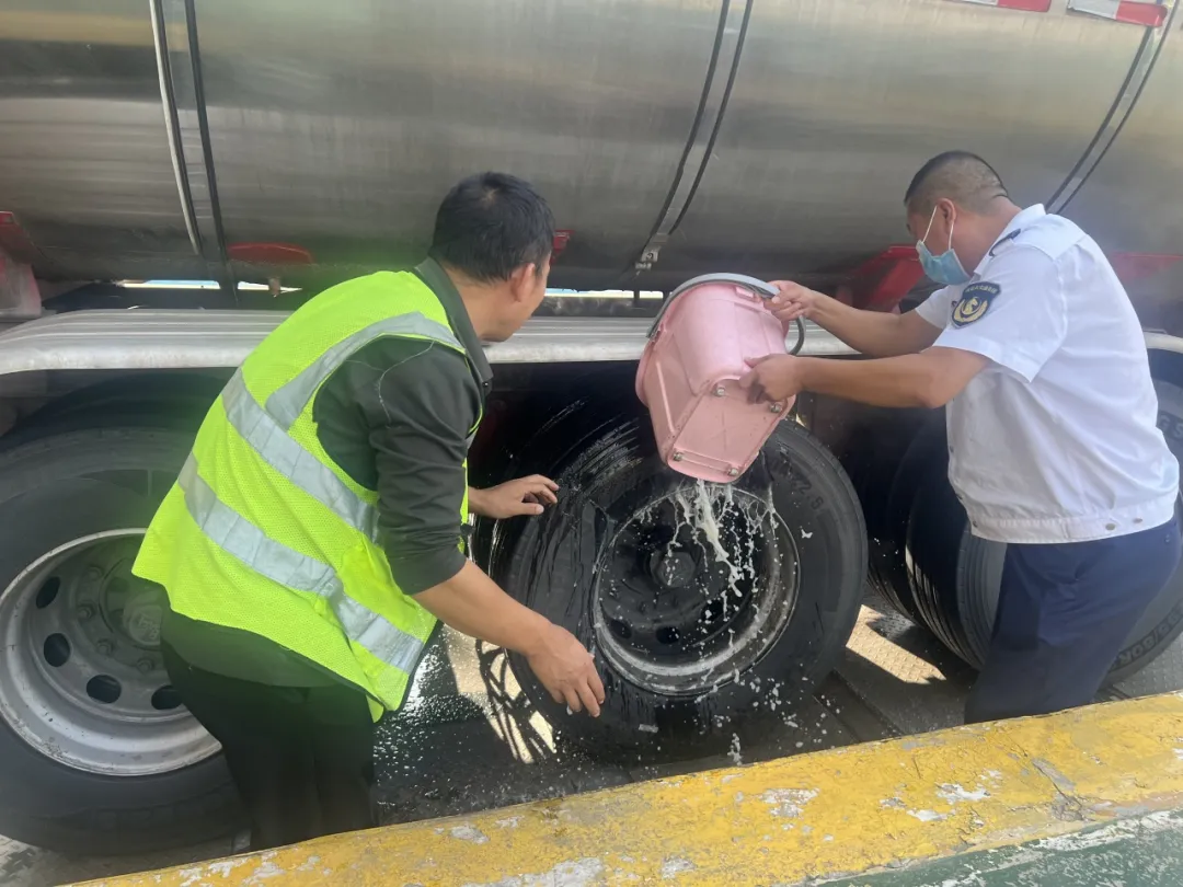 女人与公狍交酡女免费