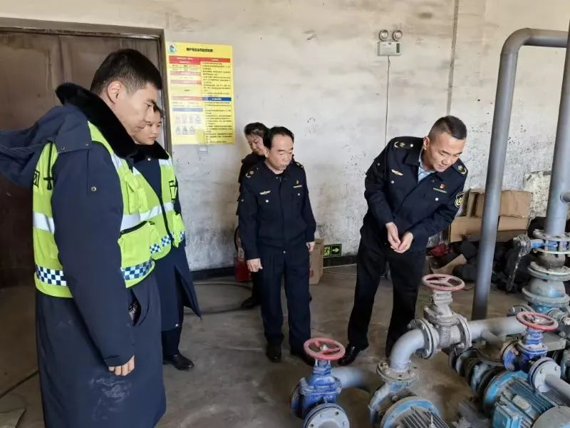 女人与公狍交酡女免费