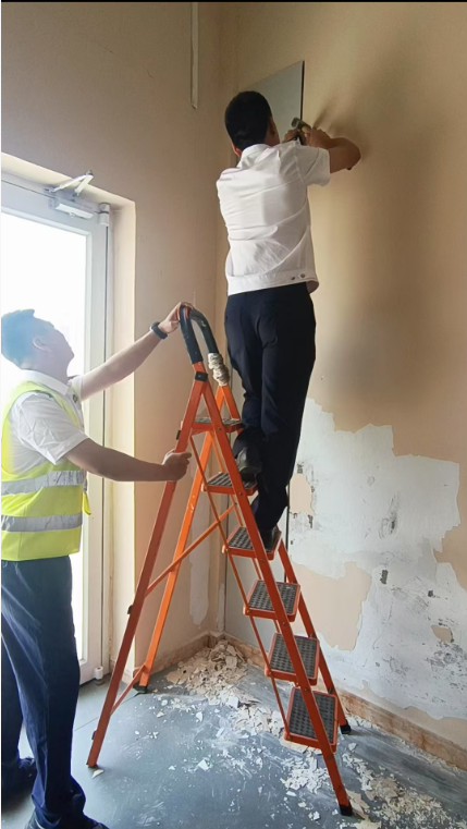 女人与公狍交酡女免费