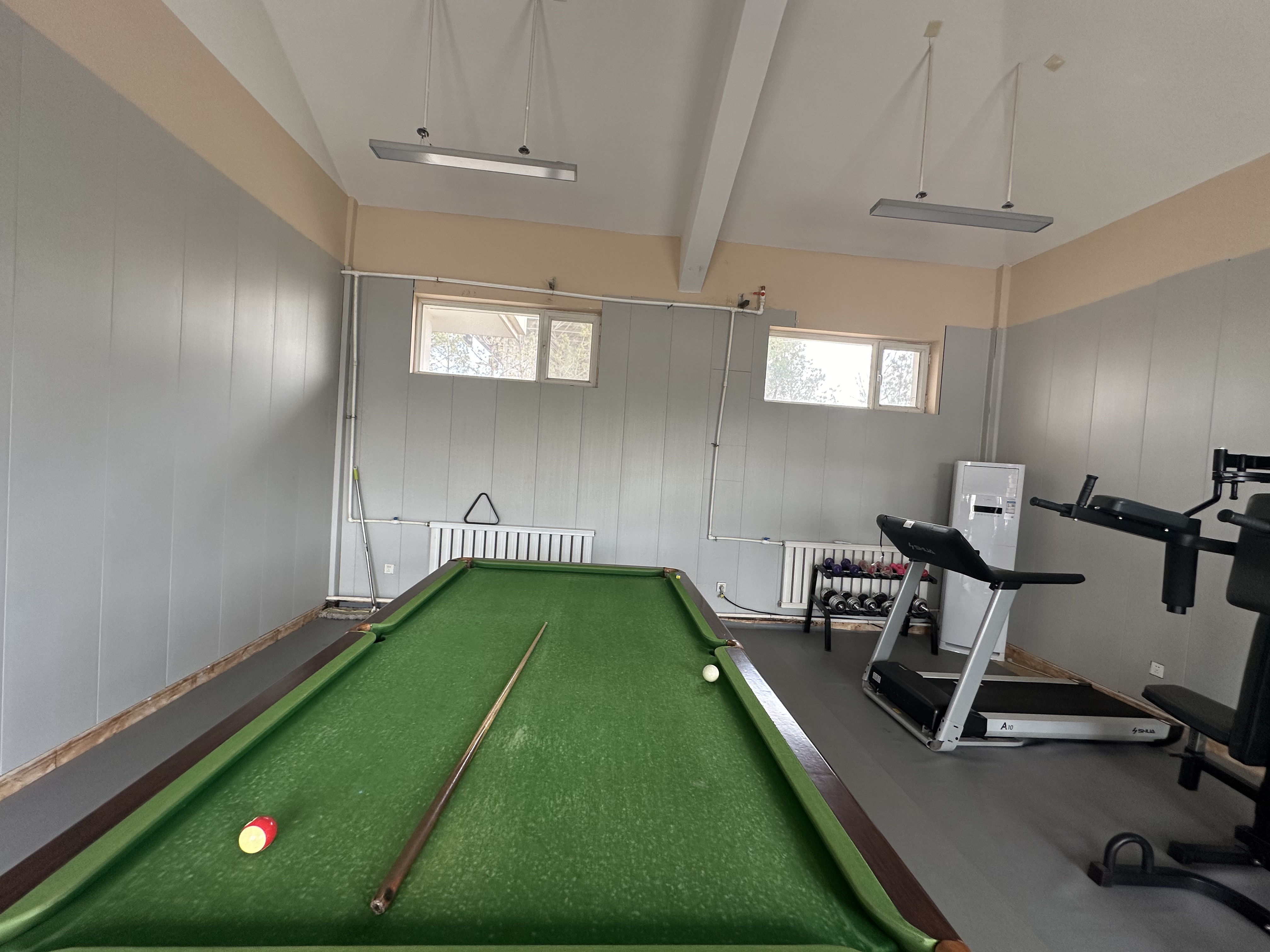 女人与公狍交酡女免费