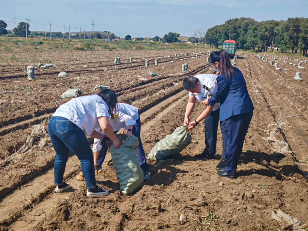 女人与公狍交酡女免费