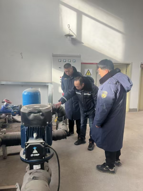 女人与公狍交酡女免费