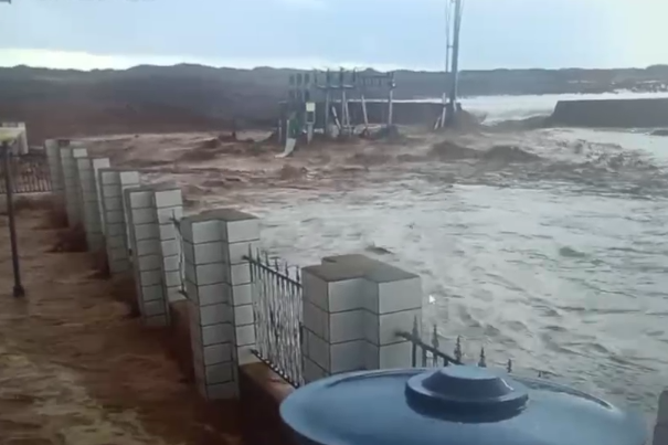 女人与公狍交酡女免费