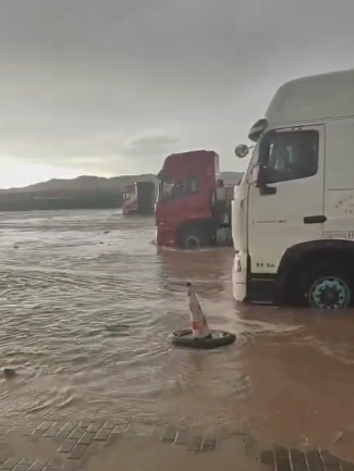 女人与公狍交酡女免费