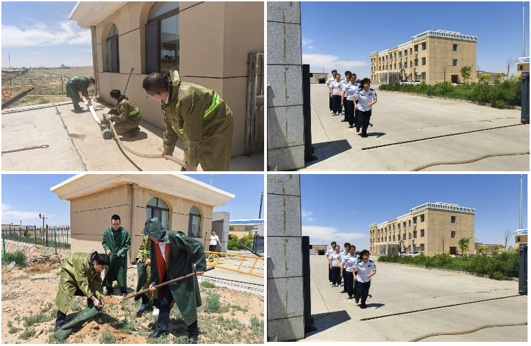 女人与公狍交酡女免费