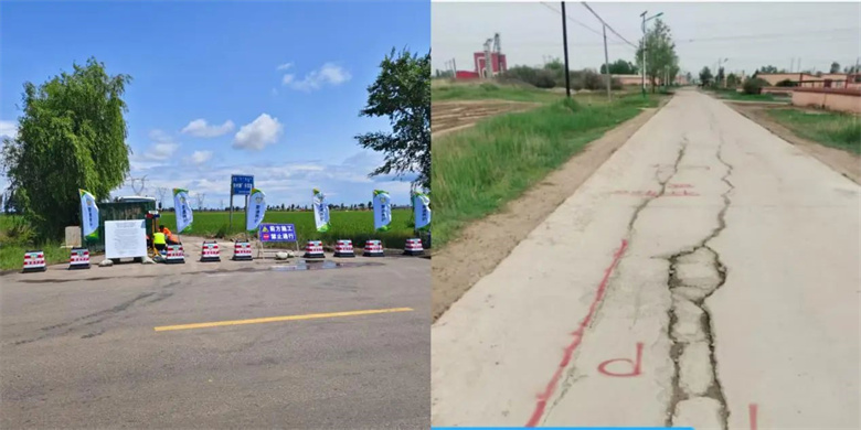 女人与公狍交酡女免费