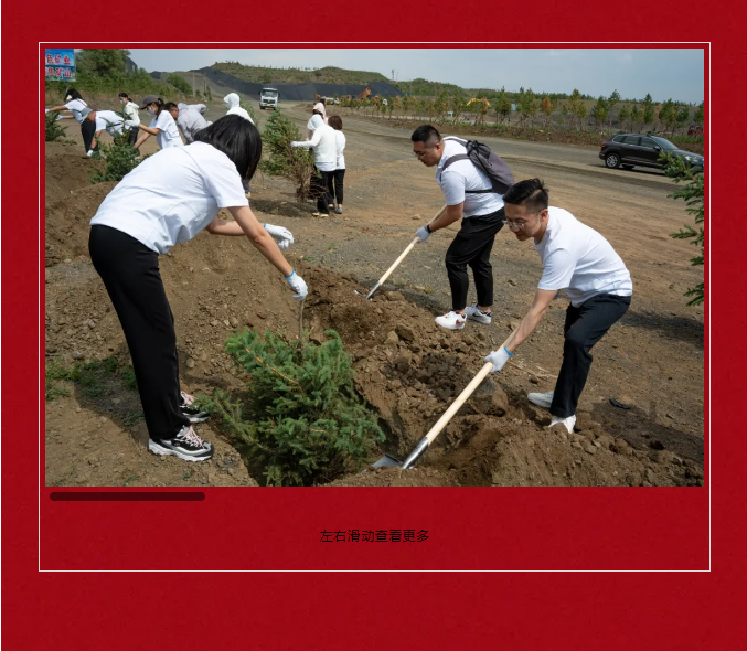 女人与公狍交酡女免费
