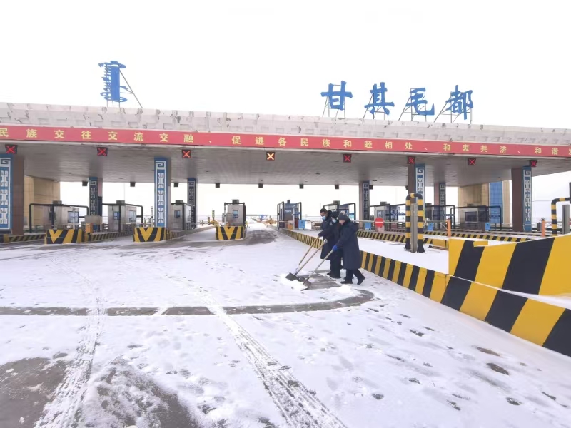 女人与公狍交酡女免费