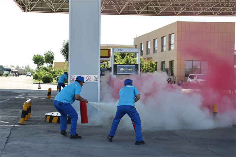 女人与公狍交酡女免费