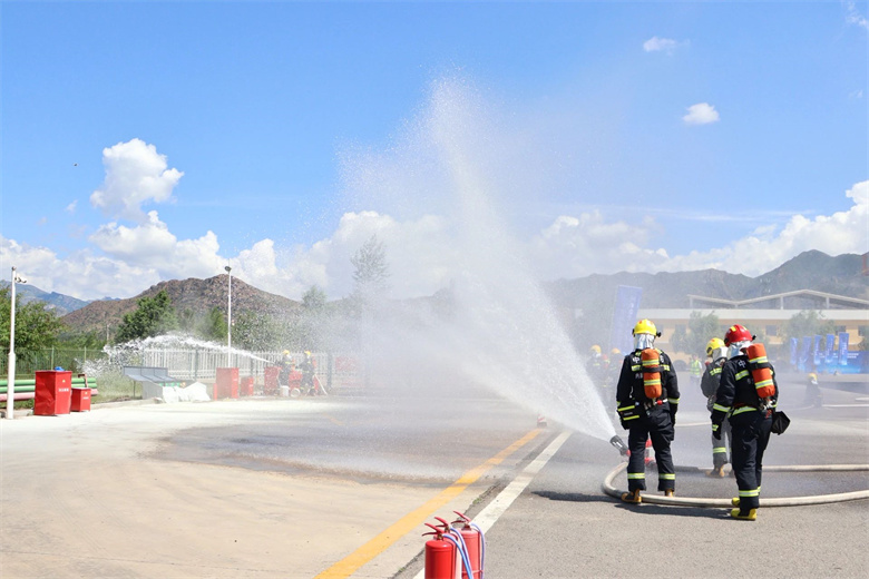 女人与公狍交酡女免费