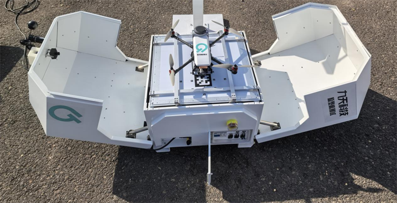 女人与公狍交酡女免费