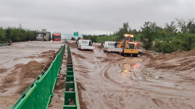 女人与公狍交酡女免费