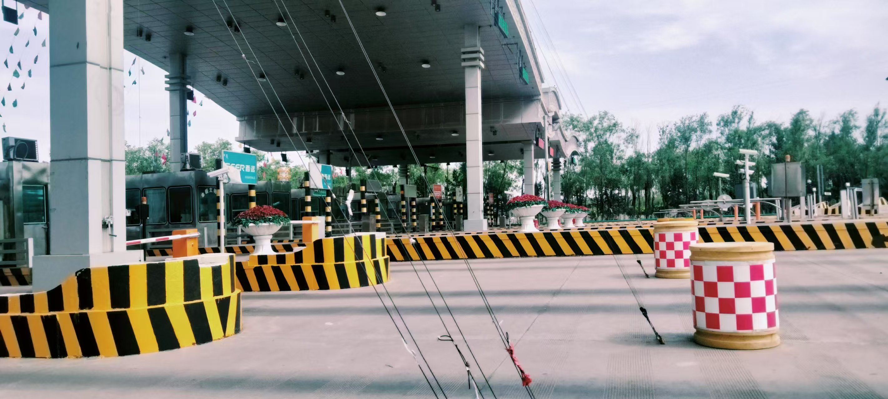 女人与公狍交酡女免费