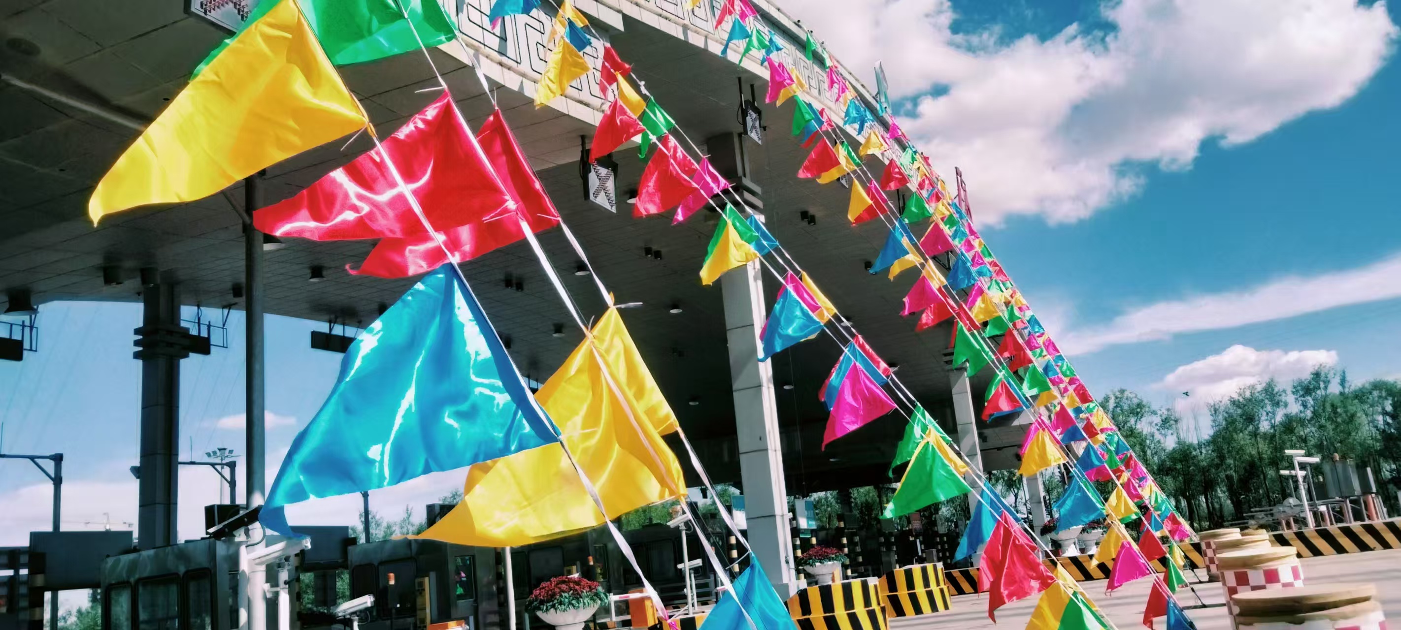 女人与公狍交酡女免费