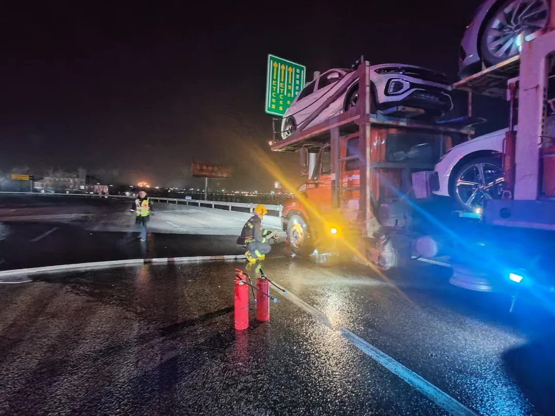 女人与公狍交酡女免费
