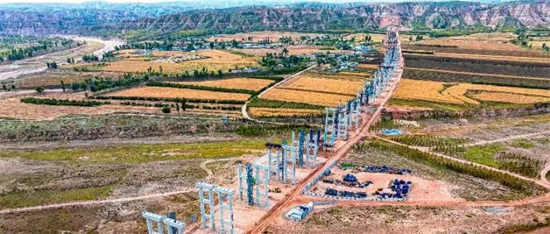 女人与公狍交酡女免费