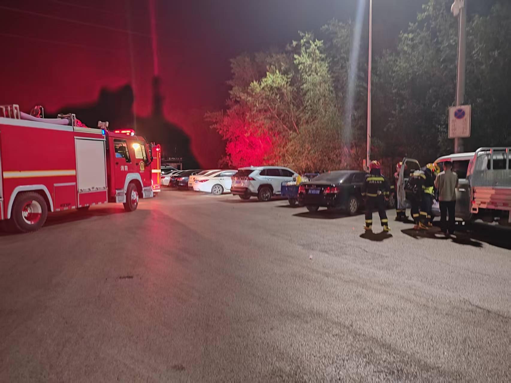 女人与公狍交酡女免费