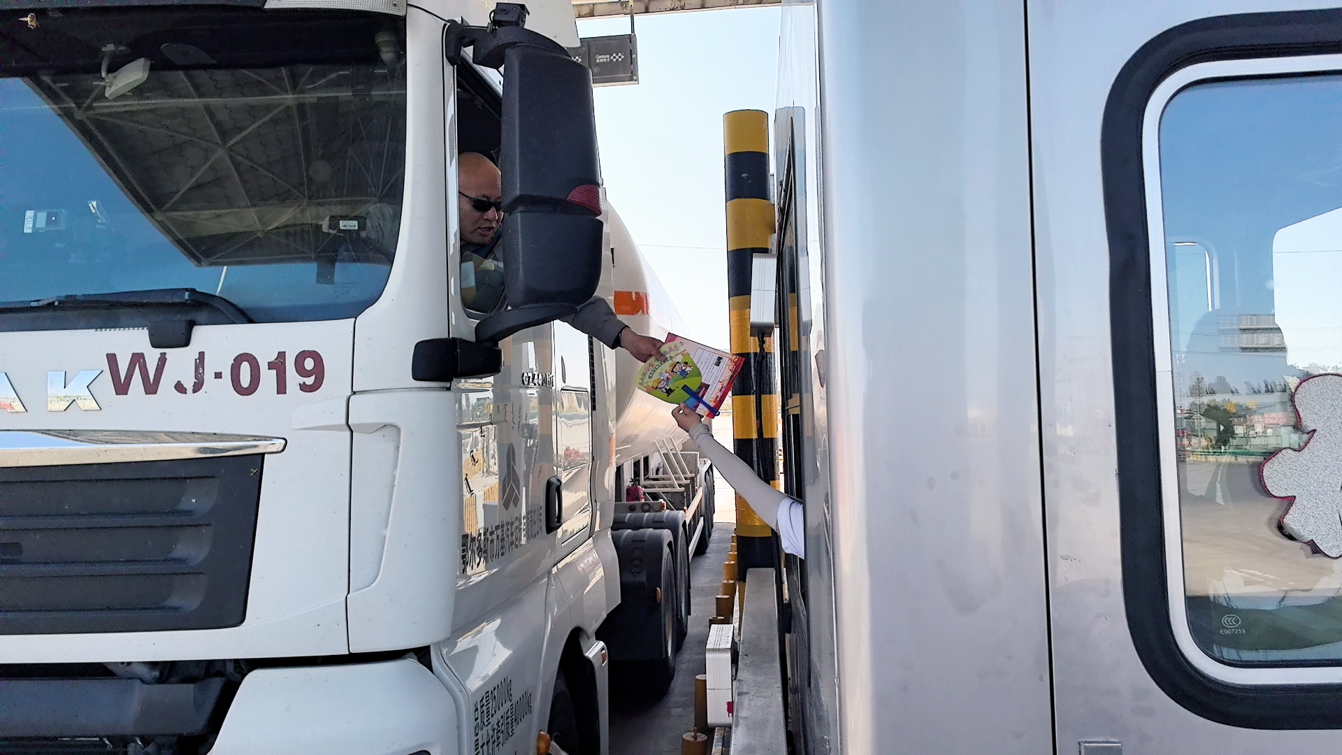 女人与公狍交酡女免费