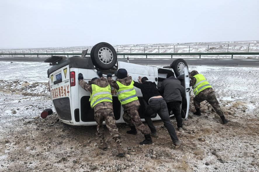 女人与公狍交酡女免费