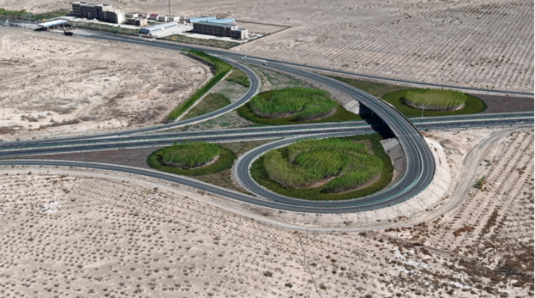 女人与公狍交酡女免费