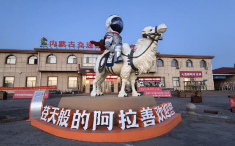 女人与公狍交酡女免费