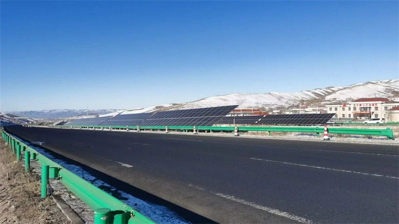 女人与公狍交酡女免费