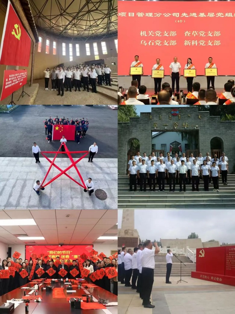 女人与公狍交酡女免费