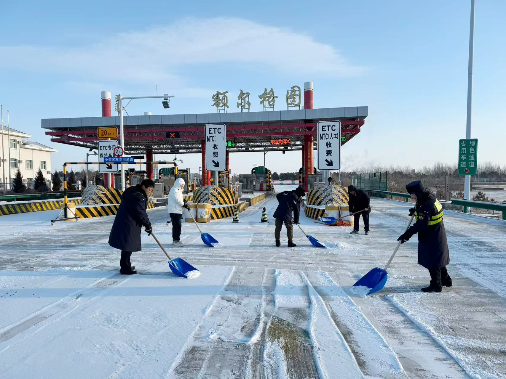 女人与公狍交酡女免费