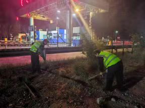 女人与公狍交酡女免费