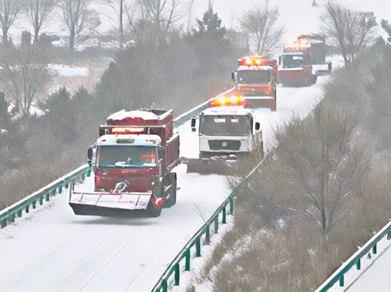 女人与公狍交酡女免费