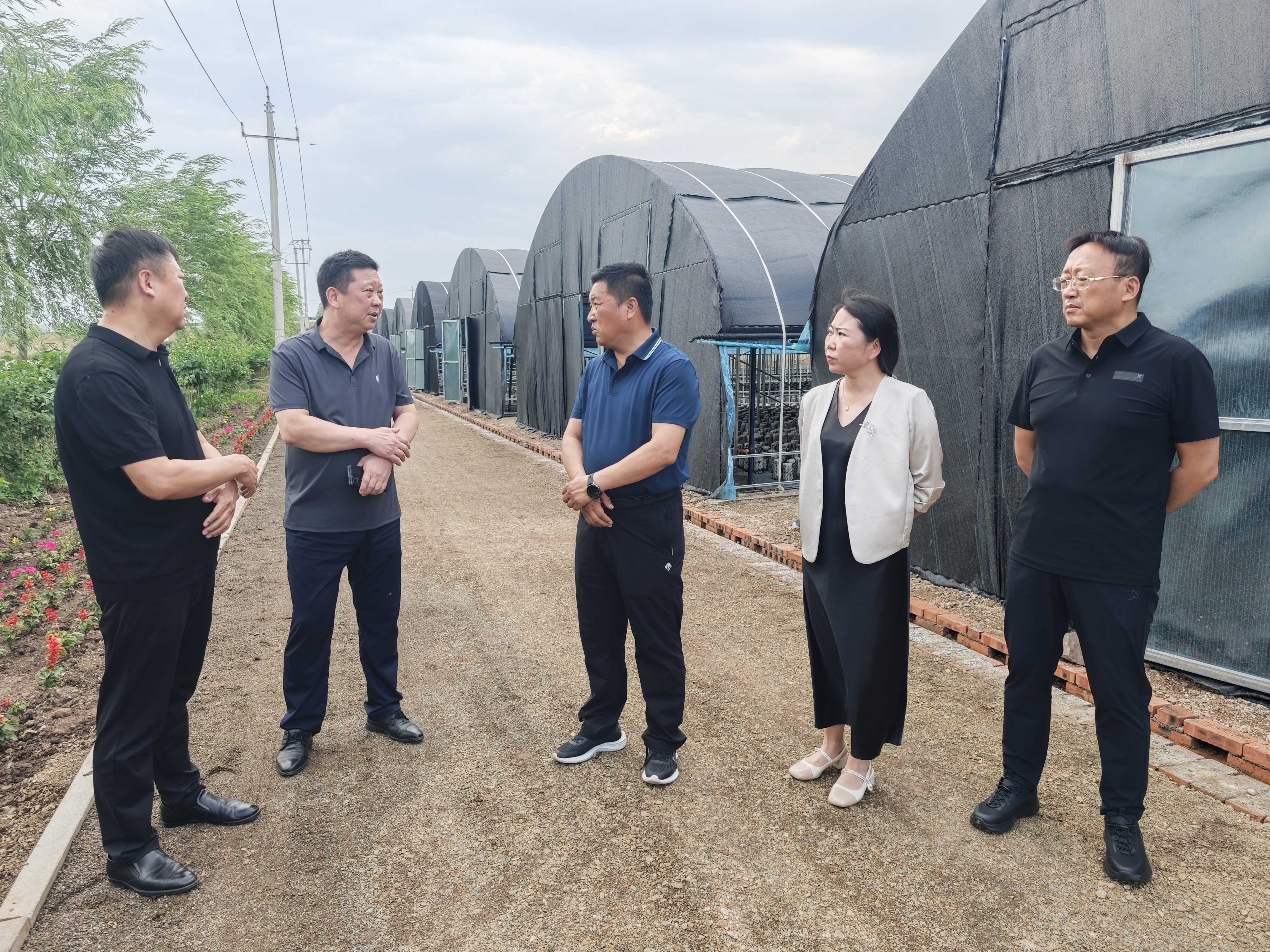 女人与公狍交酡女免费