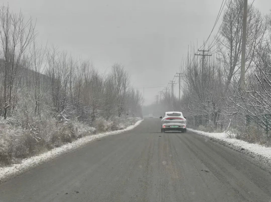 女人与公狍交酡女免费