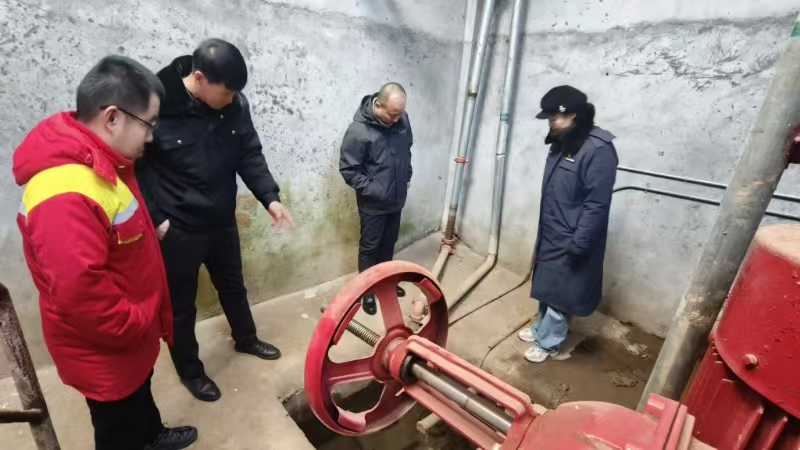 女人与公狍交酡女免费