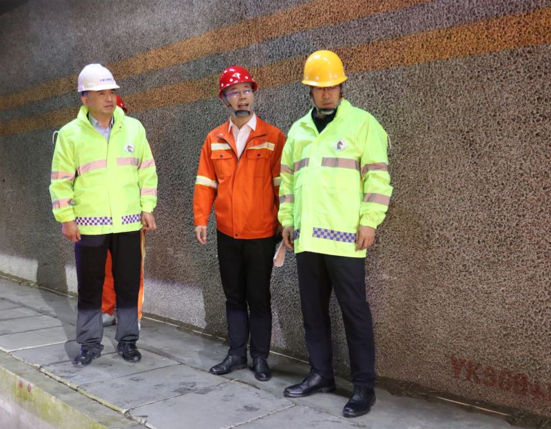 女人与公狍交酡女免费