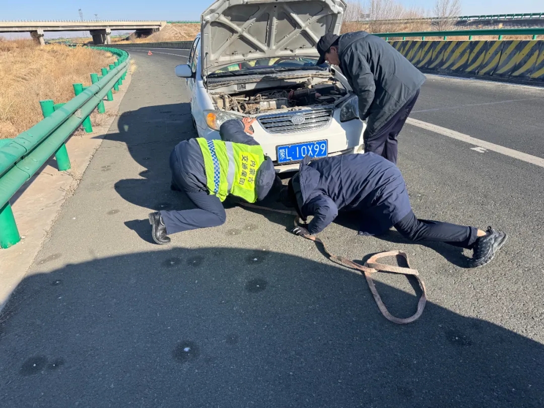 女人与公狍交酡女免费