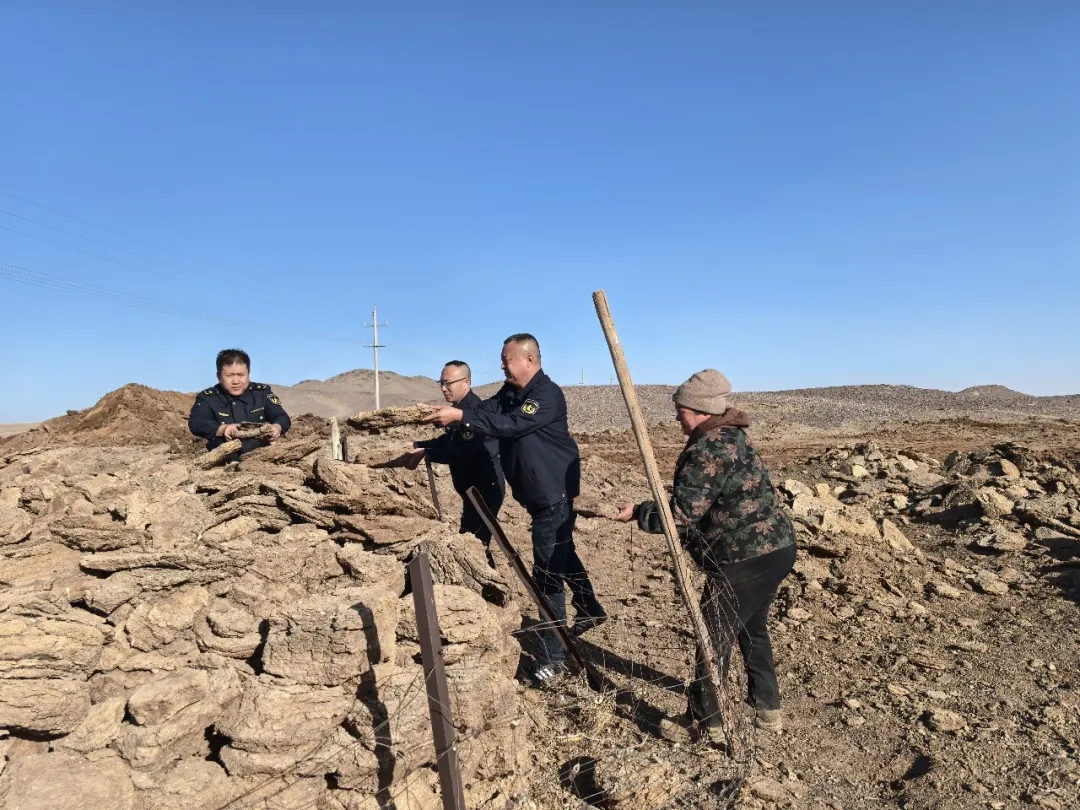 女人与公狍交酡女免费